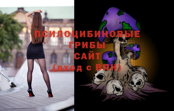 ALPHA PVP Горно-Алтайск