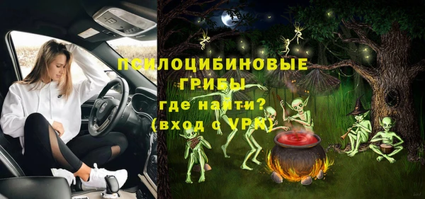 МДПВ Горнозаводск
