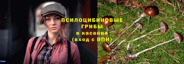МДПВ Горнозаводск